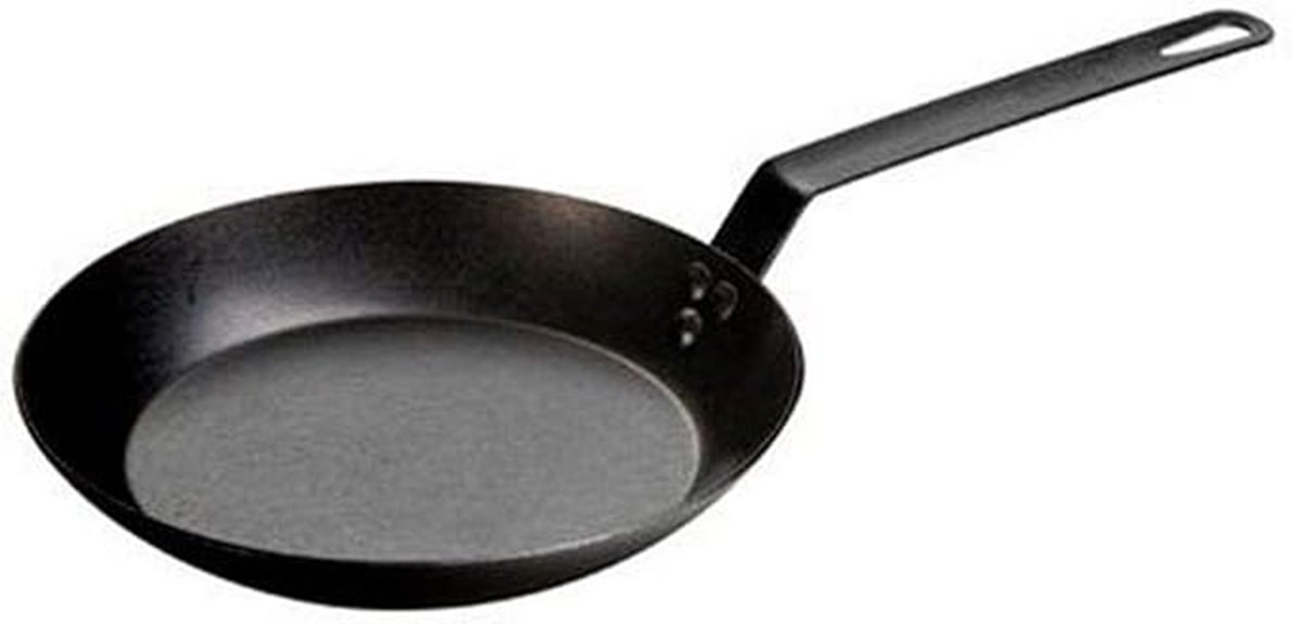 10 inch pre seasoned skillet