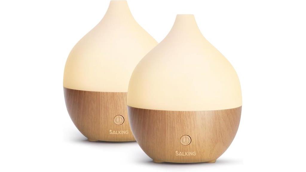 dual 100ml ultrasonic diffusers