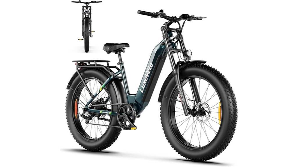 luxury 1000w fat tire bike