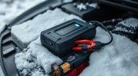 top winter car battery chargers
