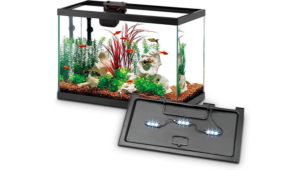 aquarium kit with lighting