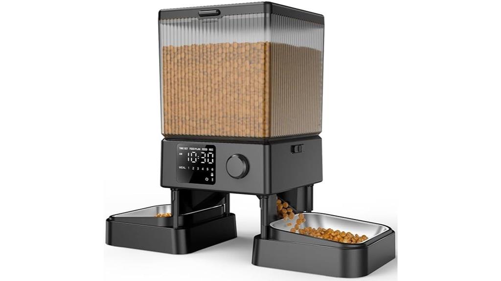 automatic cat feeder for two