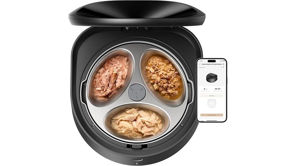 automatic stainless steel feeder