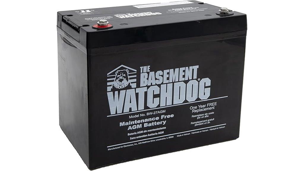 battery powered sump pump