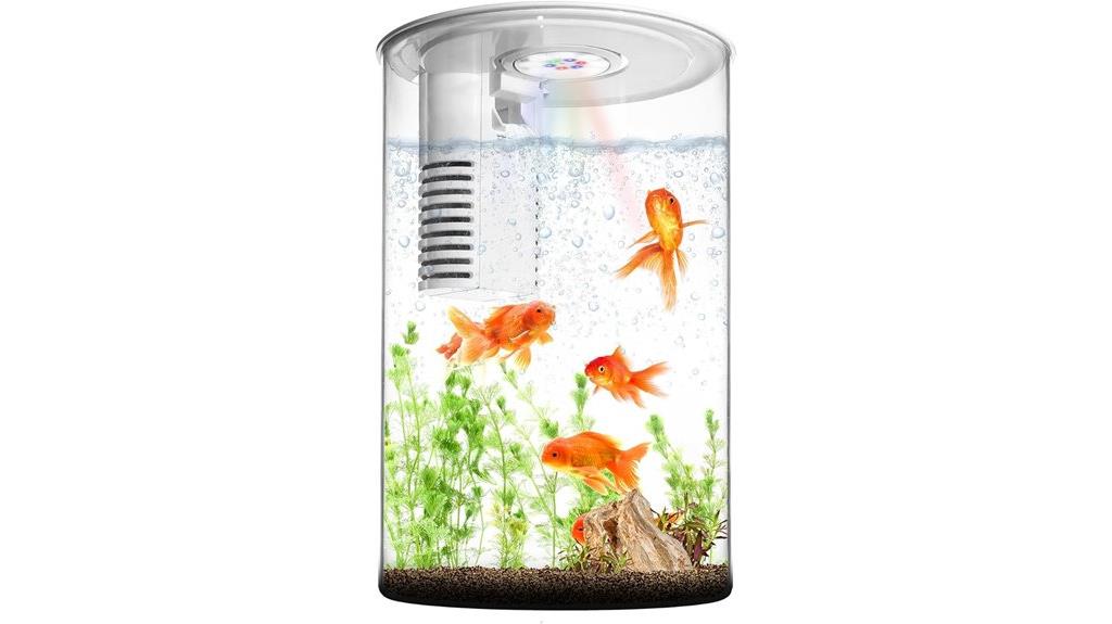colorful fish tank light