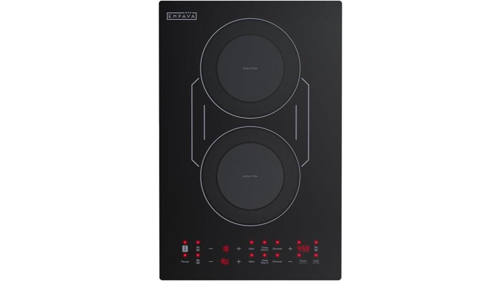 dual burner induction cooktop
