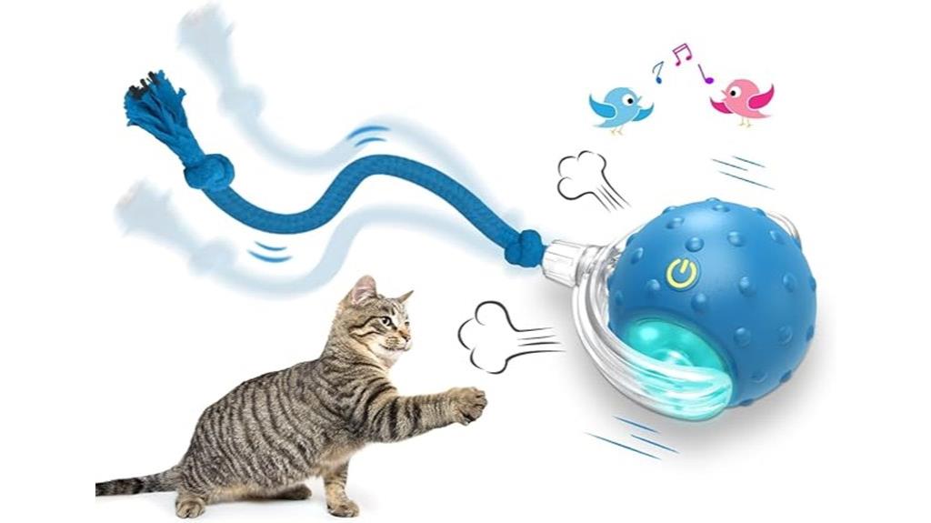 indoor cat toy ball
