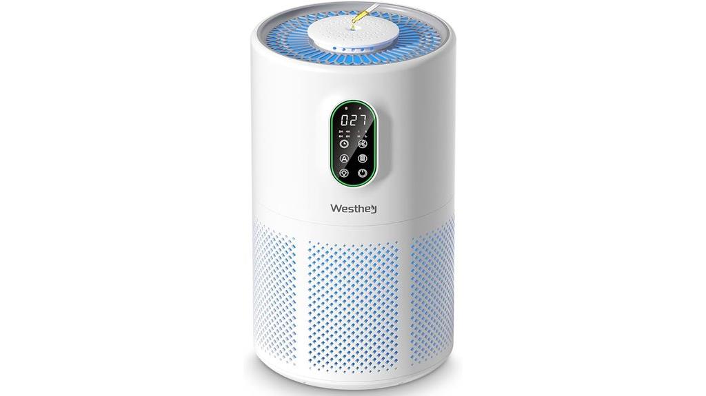large room air purifier