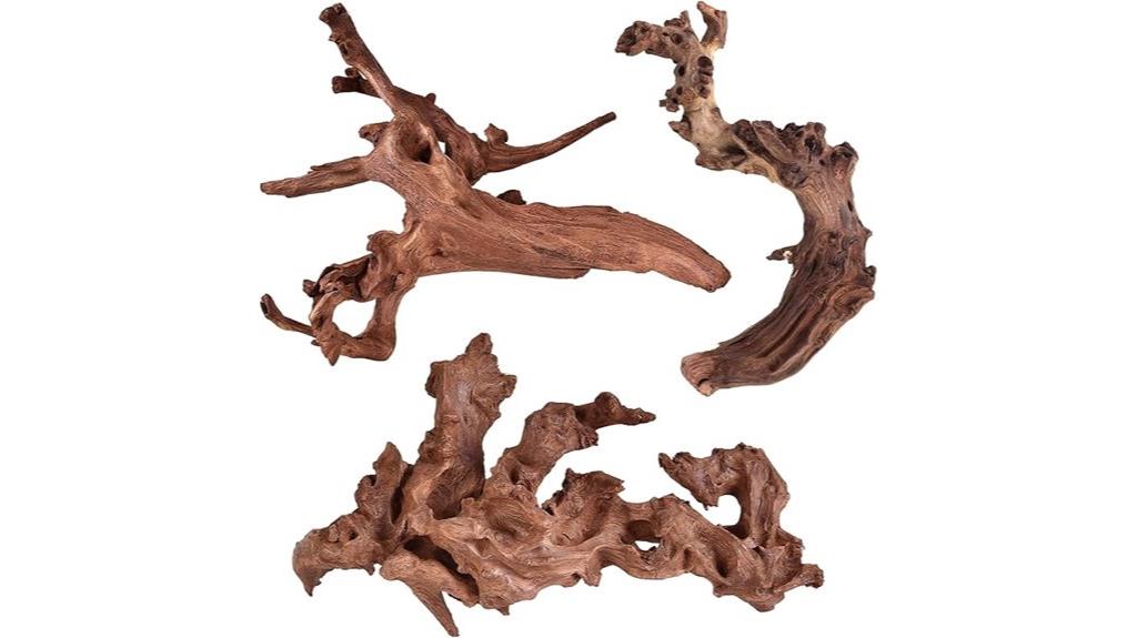 natural coral driftwood set