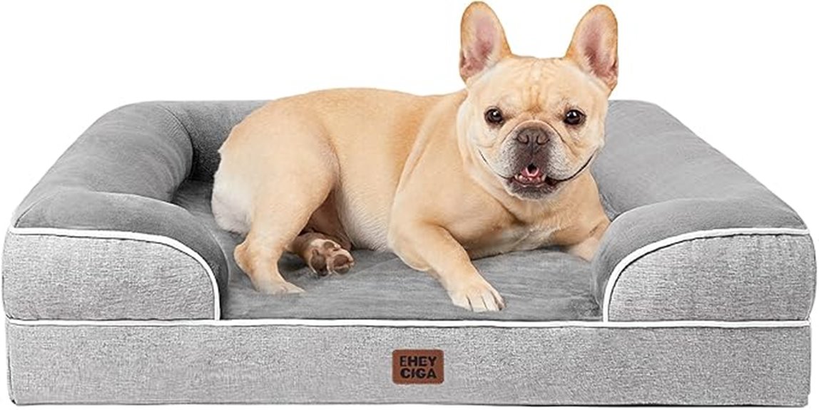 orthopedic medium dog bed