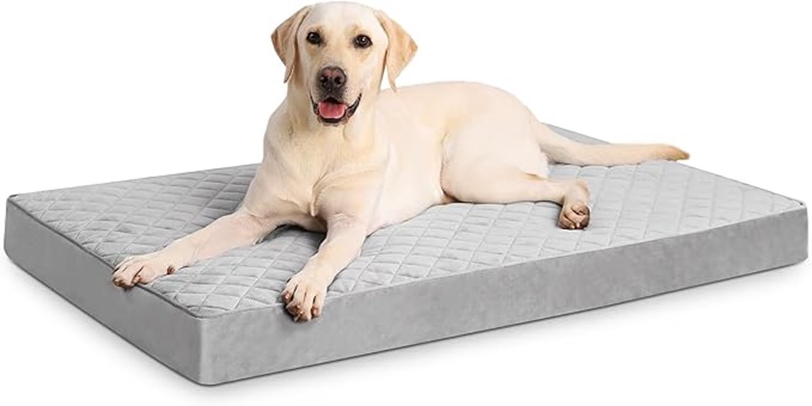 orthopedic washable dog bed