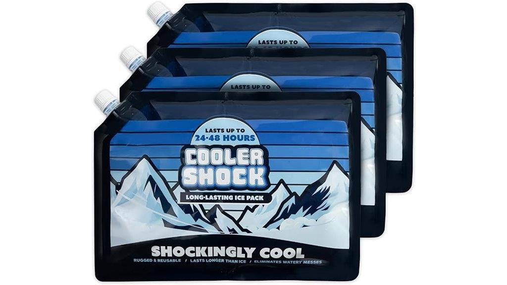 reusable cooler ice packs
