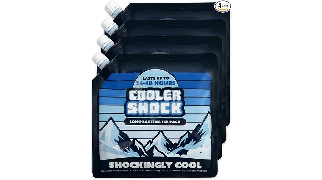 reusable ice packs for coolers