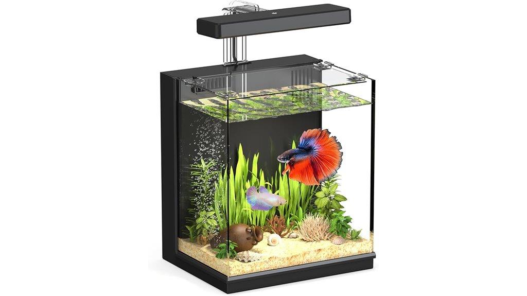 small betta fish tank