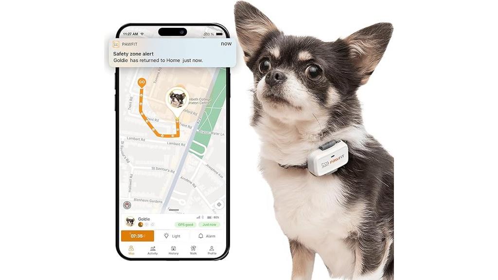 small dog gps tracker