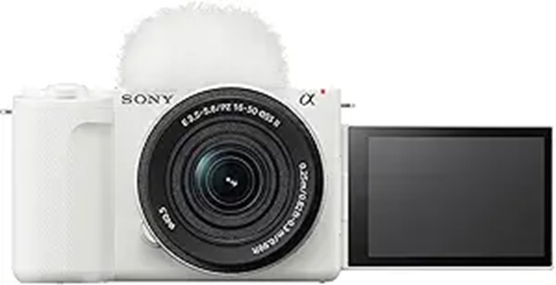 sony aps c mirrorless camera