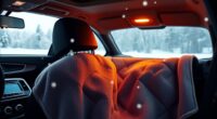 top 12v car heated blankets