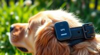 top gps dog collars