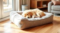 top orthopedic dog pillow options