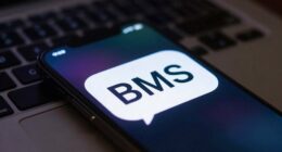 business management system abbreviation