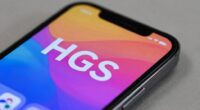 meaning of hgs abbreviation