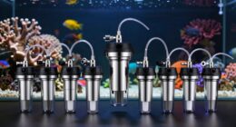 top aquarium filter picks