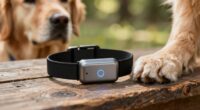 top gps dog collars