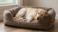 top large breed orthopedic beds