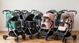 top pet strollers 2026