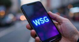 what does wsg stand for