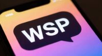 what wsp means here