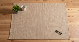 15 Best Carpets in 2026