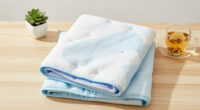 15 Best Cooling Blankets in 2026