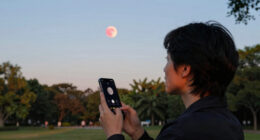 The strawberry moon will soon rise. When to look up.