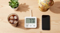 Will The Temp In Austin Be Above 76.99° On Jul 12, 2026 At 5Am EDT?