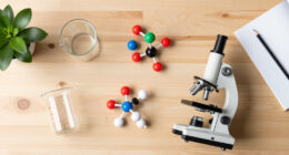 5 Best Educational Science Reference Kits in 2026