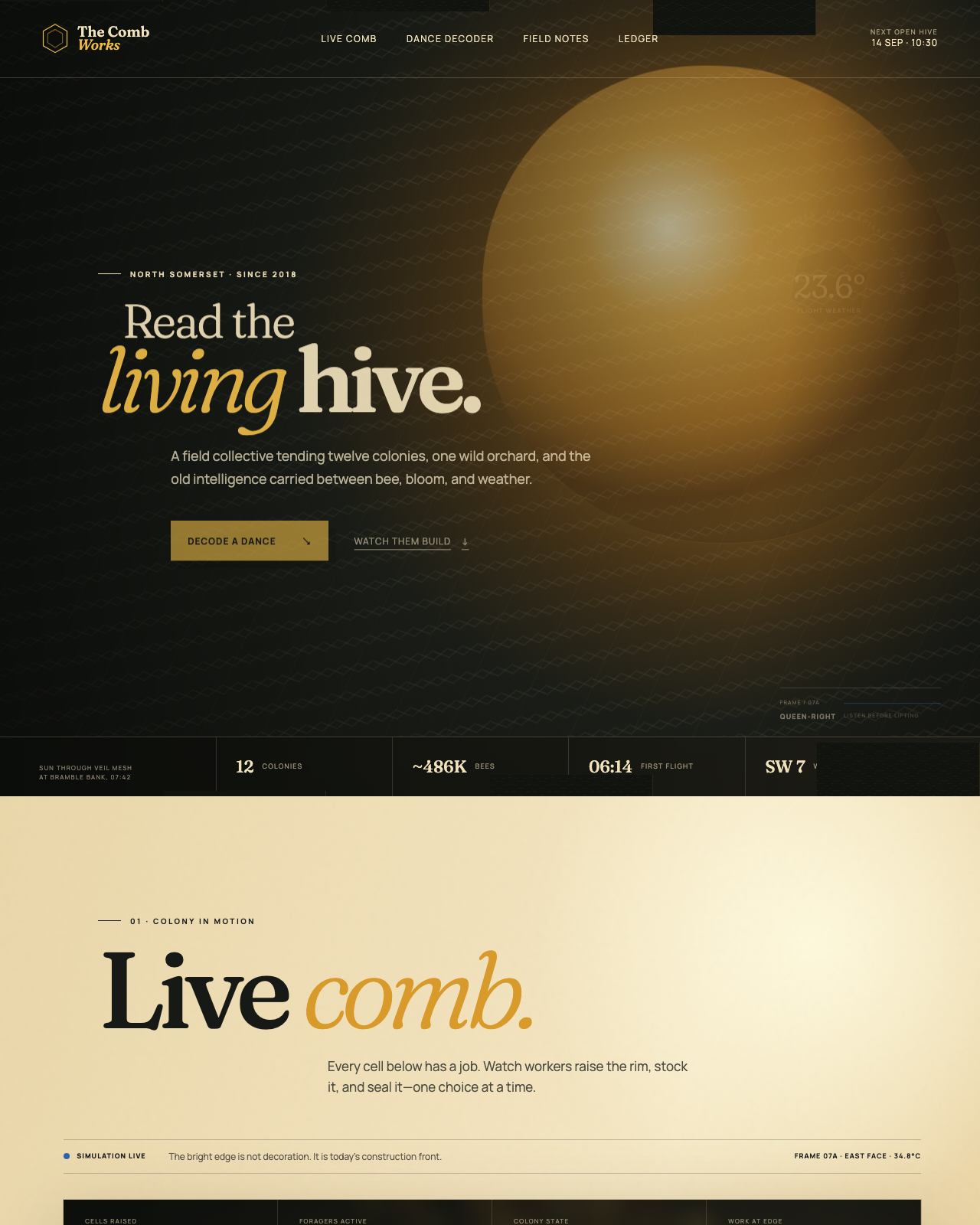 Live view of The Comb Works — Bees, decoded