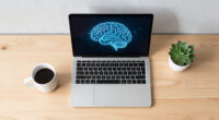 Is AI Reasoning Right For The Wrong Reasons?