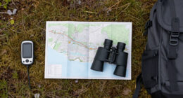M 5.6 - 54 Km NW Of Skwentna, Alaska